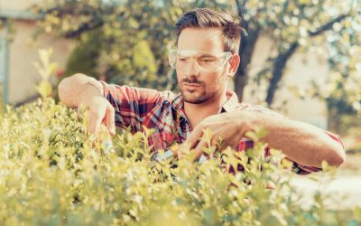 Yard Work and Back Pain: What You Need to Know
